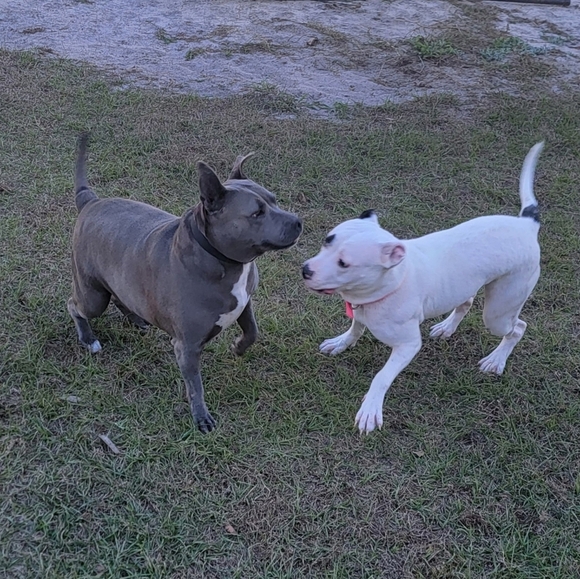 like to be notified.❤️❤️❤️💙💜💙💖 - Picture 5 of 8